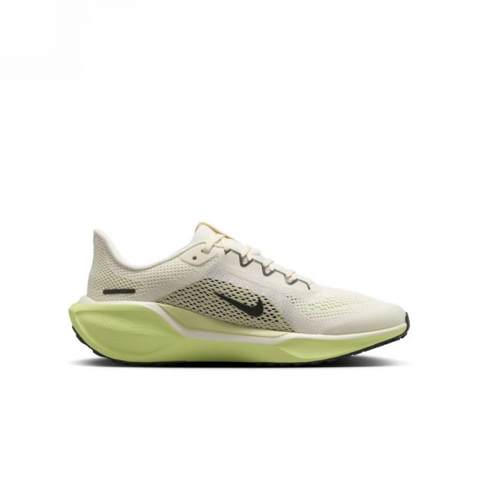 Nike Air Pegasus 41 Kid Running FN5041-106