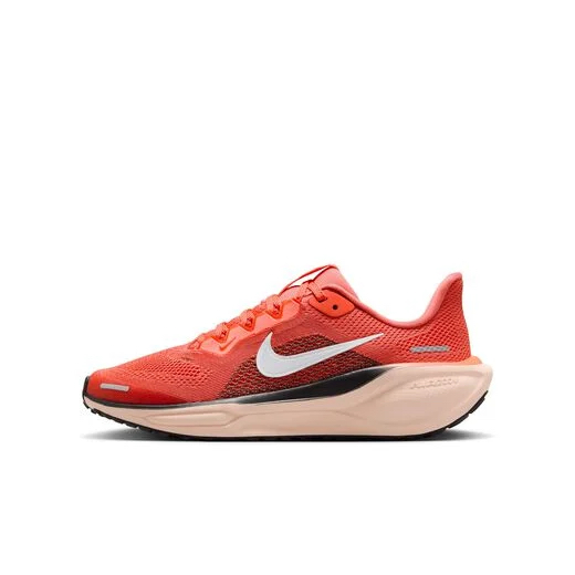 Nike Air Pegasus 41 Kid Running FN5041-800